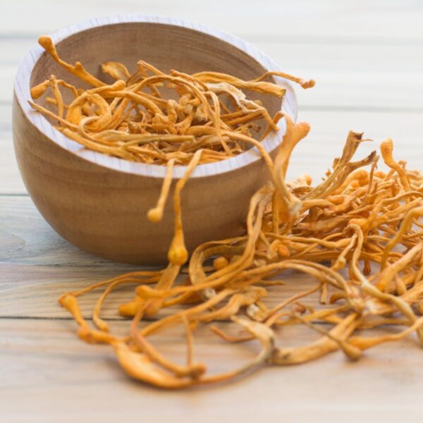 Đông Trùng Hạ Thảo Militaris – Hộp 10g – The Hai Yen 1