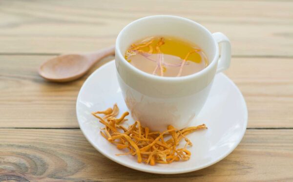 Đông Trùng Hạ Thảo Militaris – Hộp 10g – The Hai Yen 3