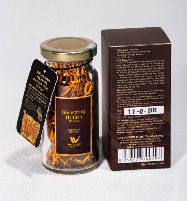 Đông Trùng Hạ Thảo Militaris – Hộp 10g – The Hai Yen